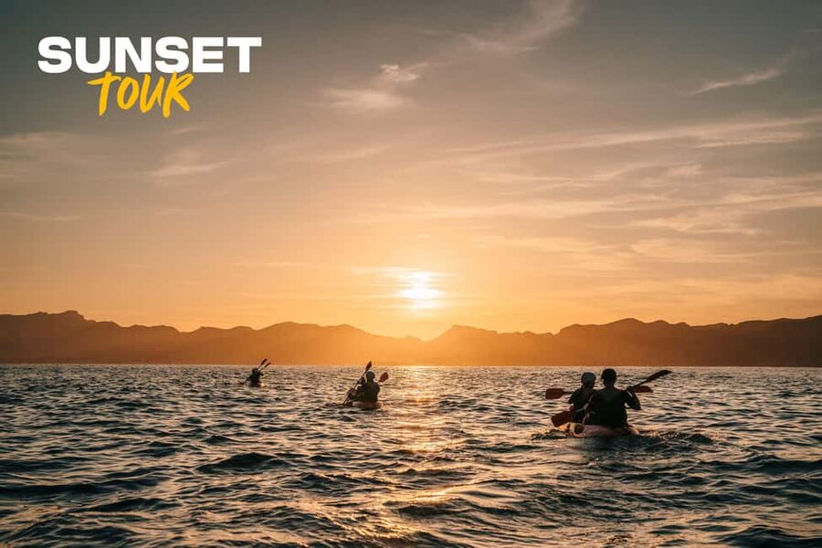 Alcudia: Kayak Tour with Snorkel & Sea Cave Swim - What the Alcudia meeting point means for your day