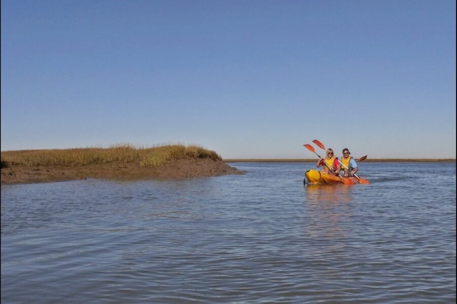 Algarve: 2-Hour Ria Formosa Kayak Tour from Faro - Why Ria Formosa is a good place to kayak