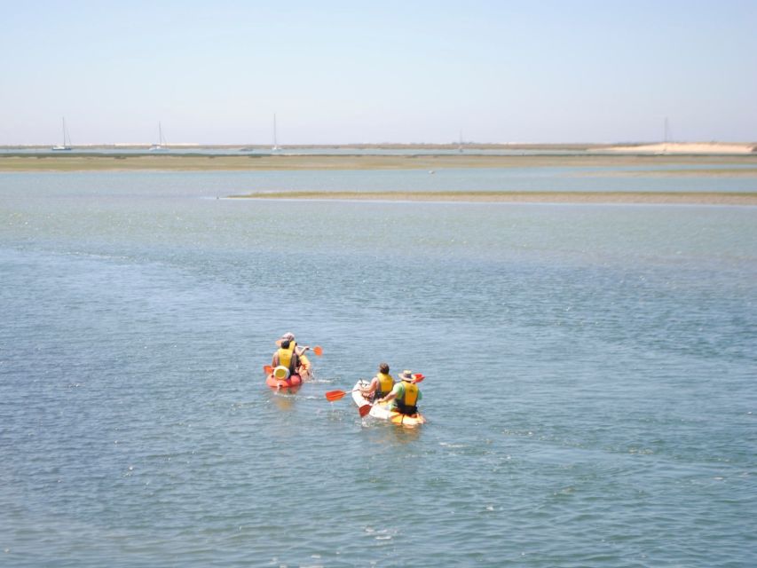 Algarve: 2-Hour Ria Formosa Kayak Tour from Faro - The first hour through the park
