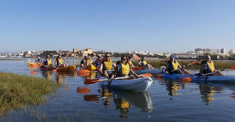 Algarve: 2-Hour Ria Formosa Kayak Tour from Faro - What the guide adds