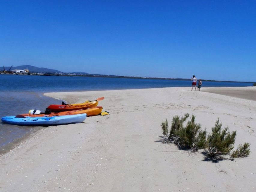 Algarve: 2-Hour Ria Formosa Kayak Tour from Faro - Who should book this Faro kayak tour?