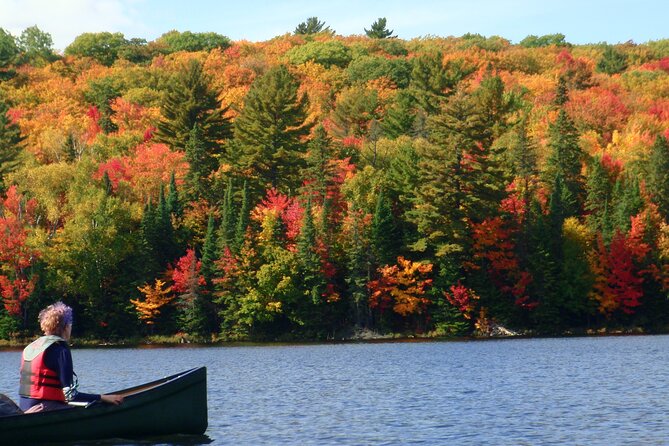Algonquin Park 3-Day Deluxe Camping & Canoeing Adventure - Key details before you book