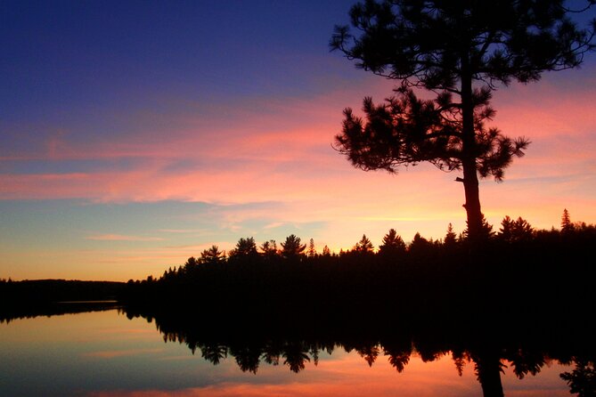 Algonquin Park 3-Day Deluxe Camping & Canoeing Adventure - Day two: Beaver habitat, cliff jumping, and the hot sauna