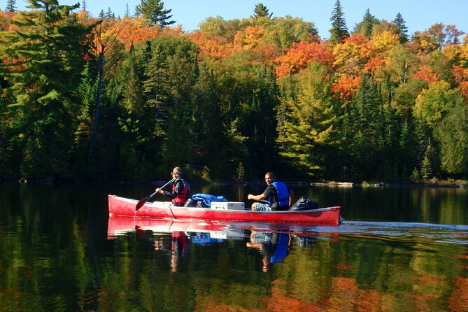 Algonquin Park 4-Day Deluxe Camping & Canoeing Adventure - Four days in Algonquin, measured in paddle strokes