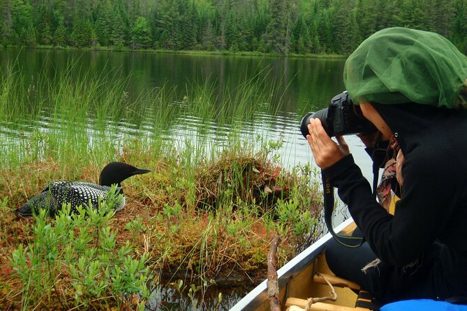 Algonquin Park 4-Day Deluxe Camping & Canoeing Adventure - Who should book this Algonquin trip?