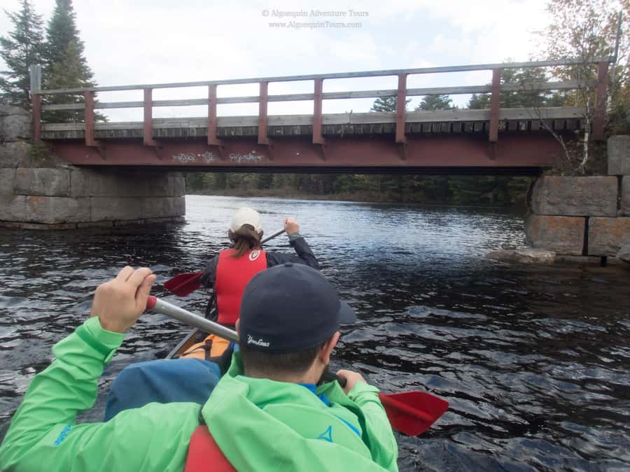 Algonquin Park: Canoe Camping Safari - Weather, bugs, and the gear you really need