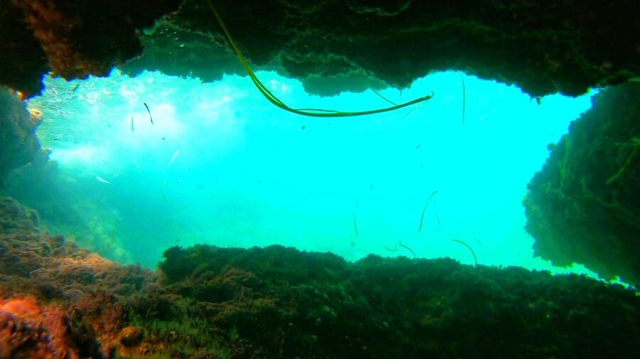 Altea: Guided Kayak Tour - Paddling from Mascarat toward the cave