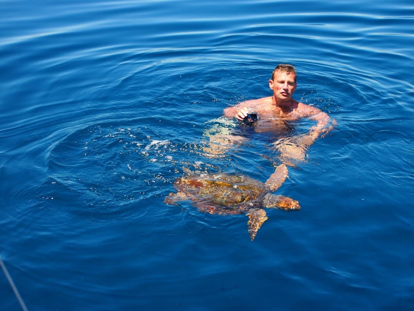 Always private 4 hour - Sail- dolphin Yacht Charter-paddle - A good setting for proposals and group celebrations