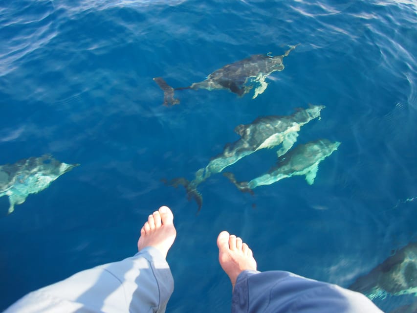 Always private 4 hour - Sail- dolphin Yacht Charter-paddle - Who will enjoy this day on the water?