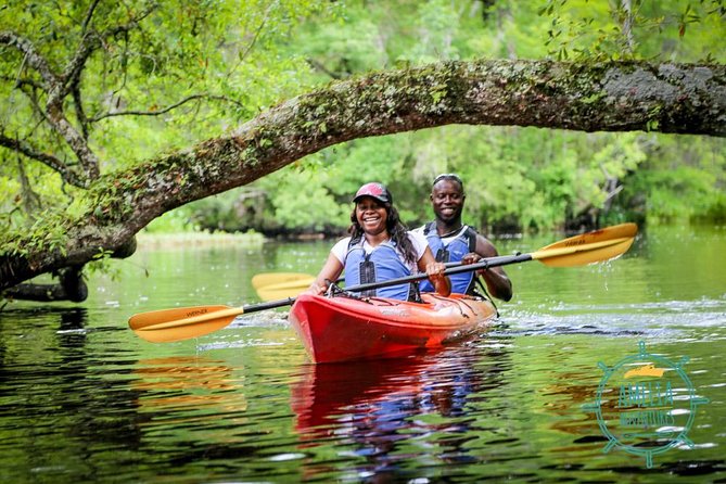 Amelia Island Guided Kayak Tour of Lofton Creek - Wildlife watching without the theme-park feel