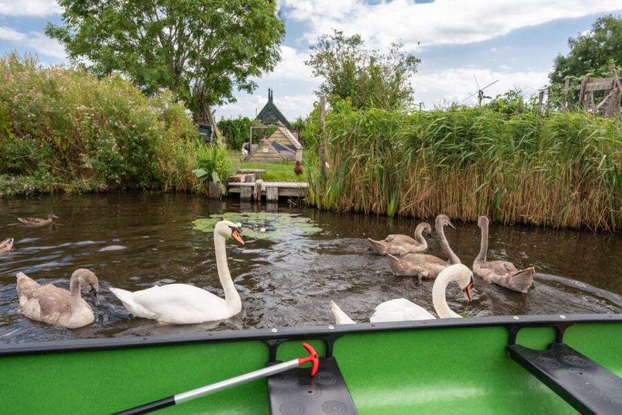Amsterdam 5-Hour Guided Canoe Trip in the Wetlands - Windmills, Swimming, and the Return Route