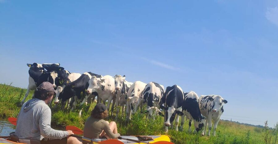 Amsterdam: Countryside Bike and Kayak Guided Tour - Five details that make this tour different