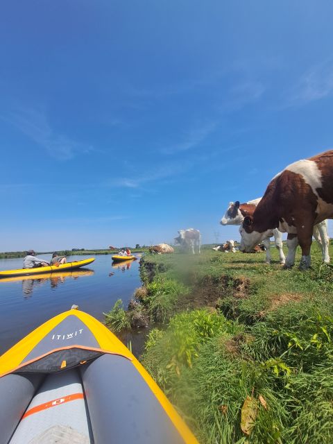 Amsterdam: Countryside Bike and Kayak Guided Tour - My verdict: a strong choice for a countryside day