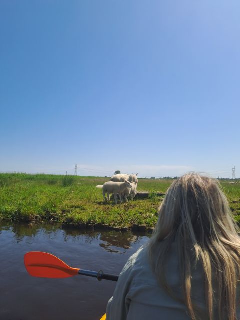 Amsterdam: Countryside Bike and Kayak Guided Tour - Leaving Amsterdam from ADAM Lookout