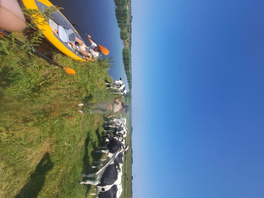 Amsterdam: Countryside Bike and Kayak Guided Tour - Returning by bike through Amsterdam-Noord