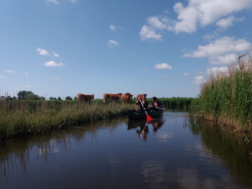 Amsterdam: Dutch Countryside Sunset Canoe Tour - Is $92 a fair price?