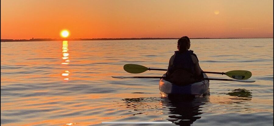 Anna Maria Island and Bradenton: Sunset Kayak Dolphin Tour - Birds, manatees, crabs, and the smaller discoveries