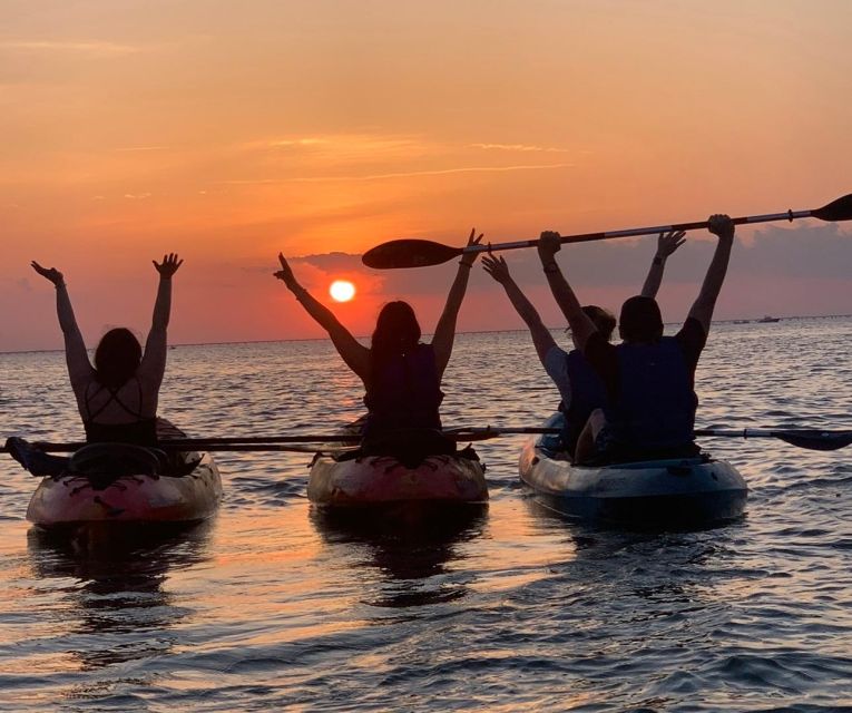 Anna Maria Island and Bradenton: Sunset Kayak Dolphin Tour - Free photos and videos make a real difference