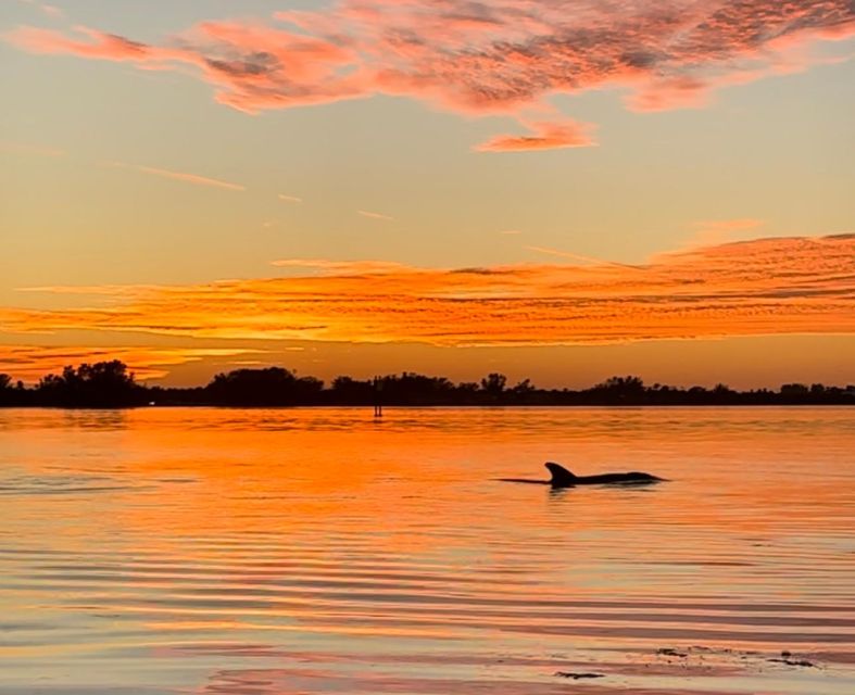 Anna Maria Island and Bradenton: Sunset Kayak Dolphin Tour - Meeting the blue truck and getting ready