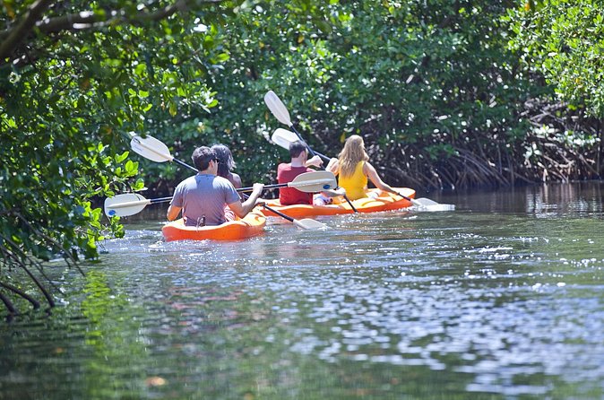Antigua Zipline & Kayaking Combo From St. John's - Speedboat ride through the North Sound Marine Park