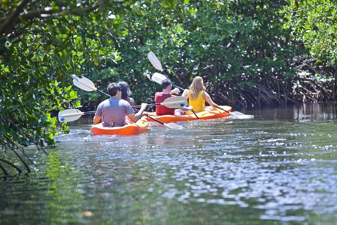 Antigua Zipline & Kayaking Combo From St. John's - Eco-kayaking through Antigua’s mangroves
