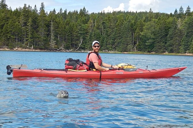 Aqua Safari Kayak tour departing Southwest Harbor - Why the guide controls the route