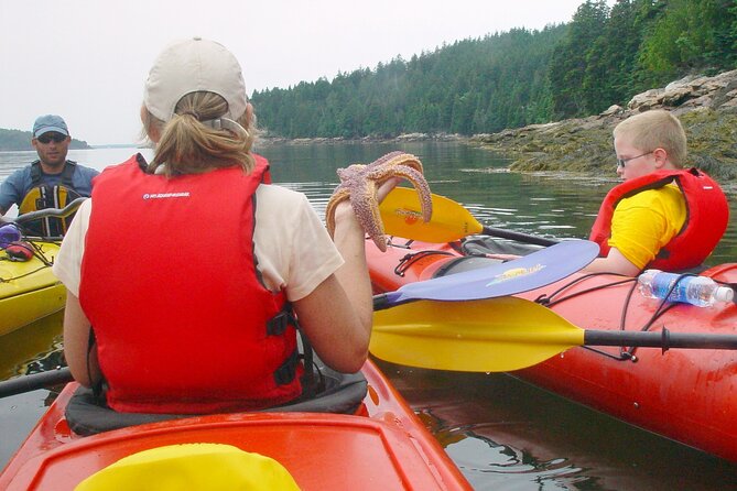 Aqua Safari Kayak tour departing Southwest Harbor - Blue Hill Bay and Somes Sound