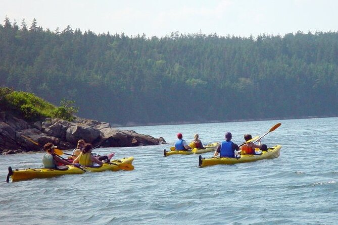 Aqua Safari Kayak tour departing Southwest Harbor - Gear, clothing, and physical demands