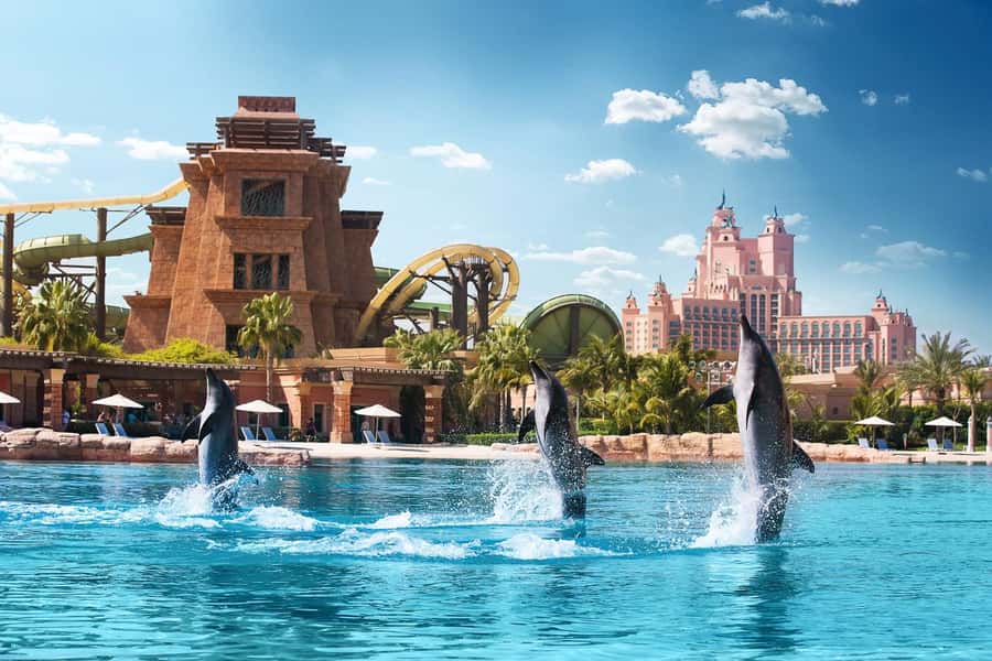 Aquaventure World: Dolphin Paddle and Waterpark Day Pass - What the $189 price really gets you