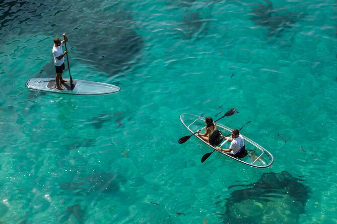 Arrábida: Guided Transparent Kayaking Tour - Why kayaking Arrábida is worth your time