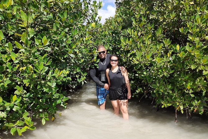 Aruba Glass Bottom Kayak Tour through the Mangrove Forest - What the clear kayak is really like