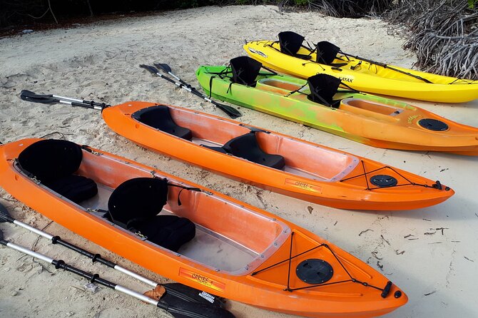 Aruba Glass Bottom Kayak Tour through the Mangrove Forest - Santo Largo is quiet, simple, and easy to misunderstand