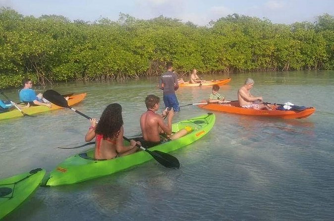 Aruba Glass Bottom Kayak Tour through the Mangrove Forest - Wind and waves decide how good the day feels