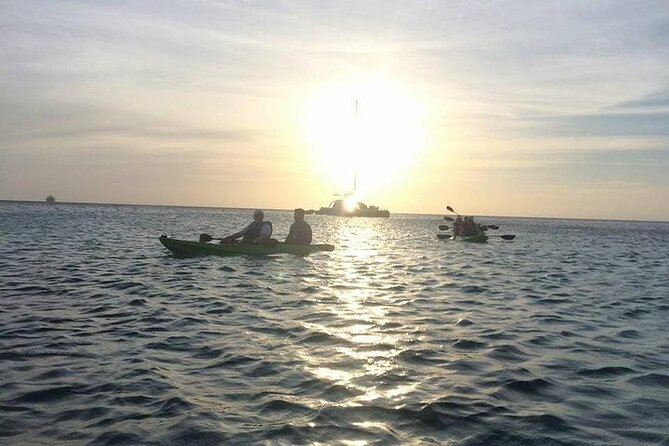 Aruba Glass Bottom Kayak Tour through the Mangrove Forest - The guides add much of the tour’s value
