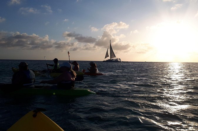 Aruba Night Glass Kayak Tour - Coral, fish, turtles, and a shallow shipwreck