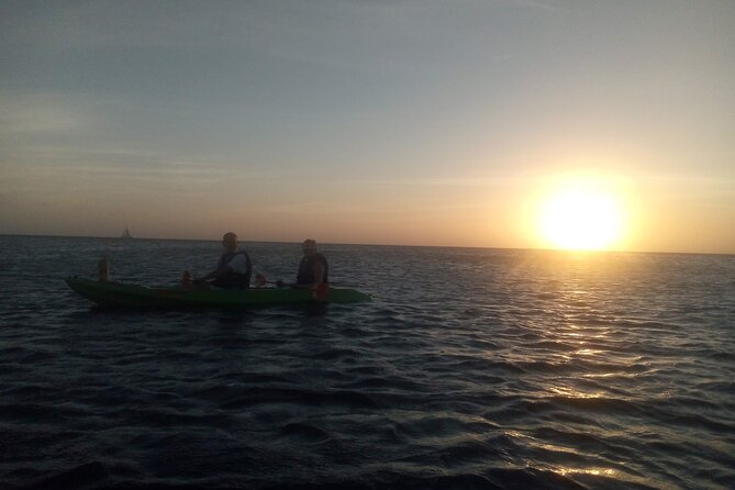 Aruba Night Glass Kayak Tour - What the $80 price really covers