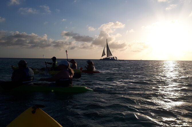 Aruba Night Glass Kayak Tour - Who should book this experience