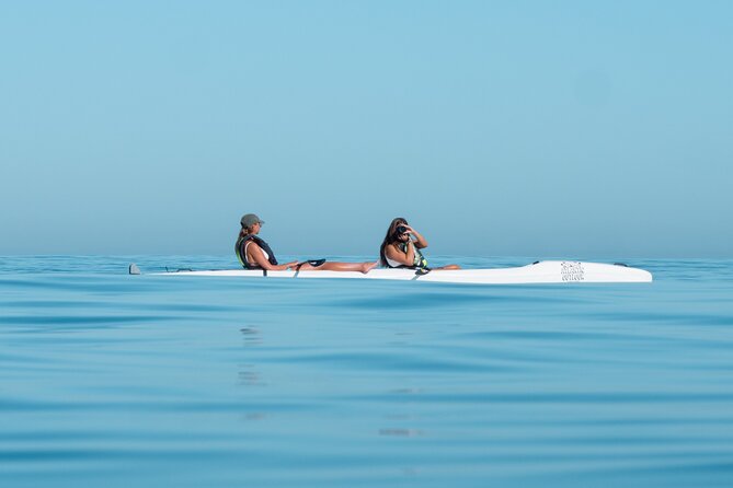 Atlantic Outlook Kayak Tour Cape Town - How difficult is the kayaking?