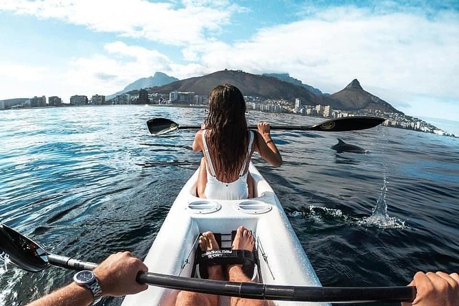 Atlantic Outlook Kayak Tour Cape Town - Is $29 good value?