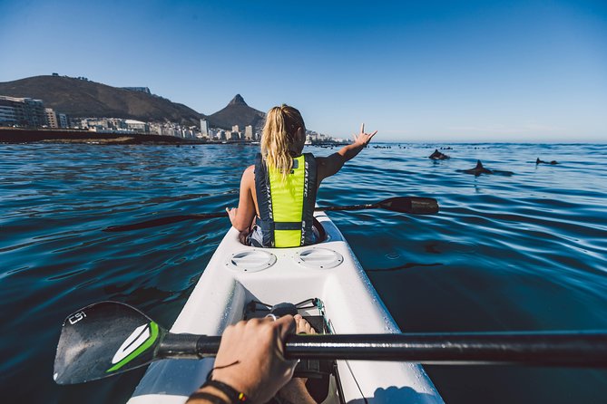 Atlantic Outlook Kayak Tour Cape Town - Launching from the V&A Waterfront