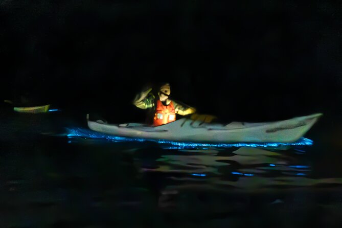 Auckland Bioluminescence Kayak Tour - Key things to know before you book