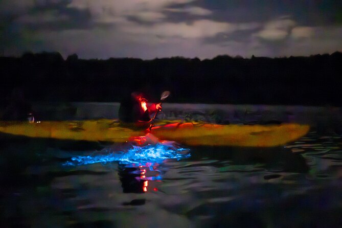 Auckland Bioluminescence Kayak Tour - Photos, darkness, and realistic expectations