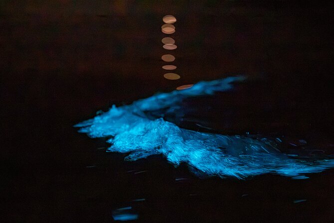 Auckland Bioluminescence Kayak Tour - Who will enjoy this Auckland night paddle