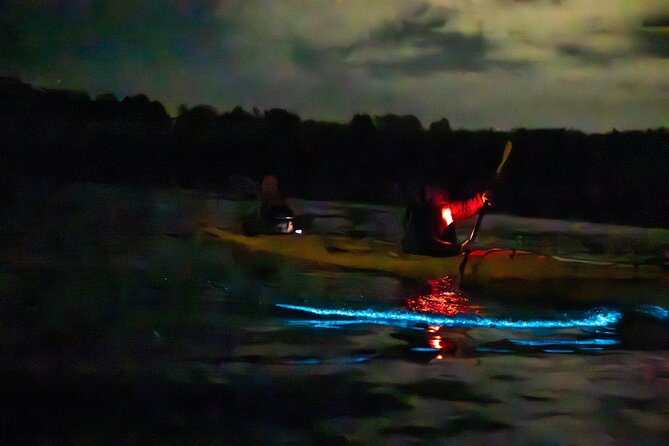 Auckland Bioluminescence Kayak Tour - Weather, cancellation, and planning details