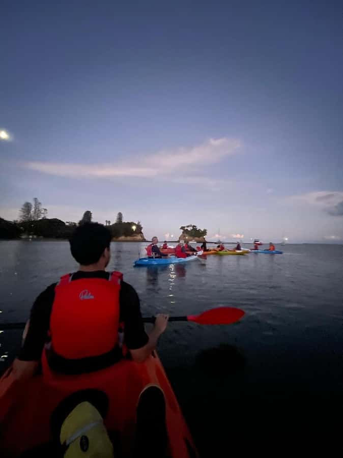 Auckland: Bioluminescence Kayak Tour with Guide - Should you book the Auckland bioluminescence kayak tour?