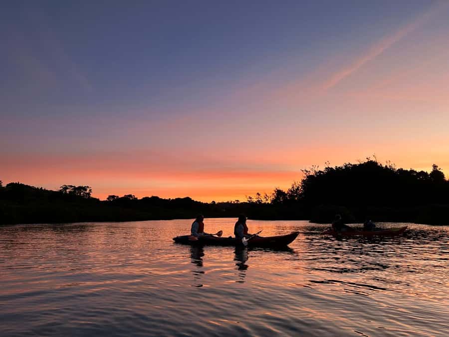 Auckland: Bioluminescence Kayak Tour with Guide - What happens before the water turns dark
