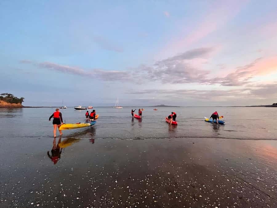 Auckland: Bioluminescence Kayak Tour with Guide - The two-hour paddle and the small-group advantage
