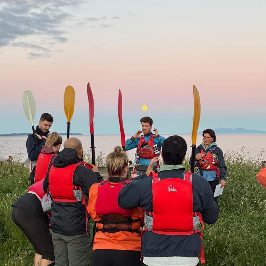 Auckland: Bioluminescence Kayak Tour with Guide - Who should book this night paddle?