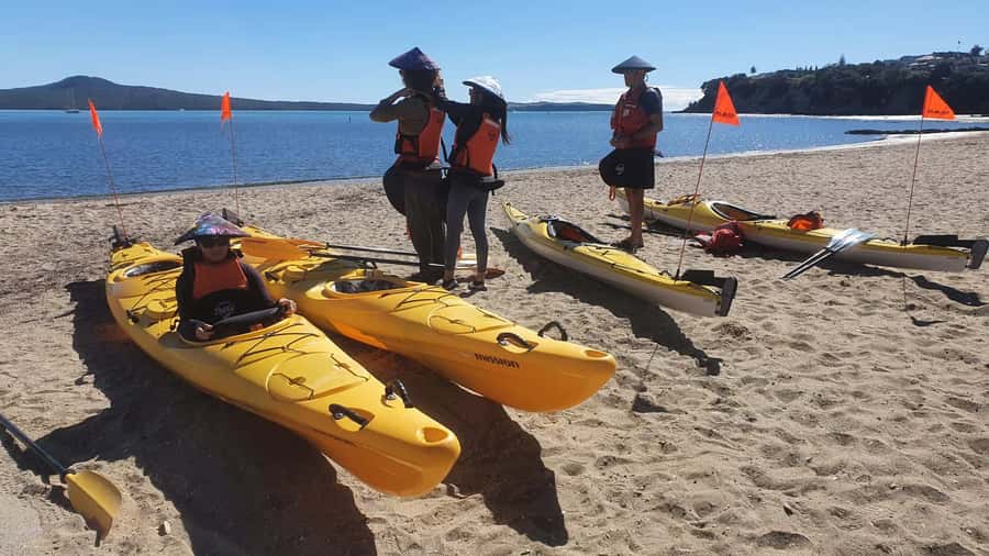 Auckland: Browns Island (Motukorea) Sea Kayak Tour - Should you book the Motukorea kayak tour?