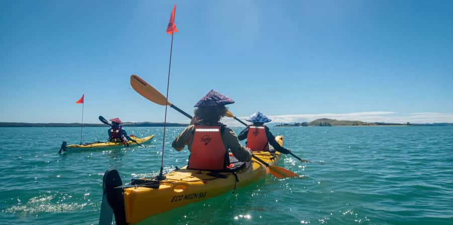 Auckland: Browns Island (Motukorea) Sea Kayak Tour - Landing on Motukorea, Auckland’s volcanic island
